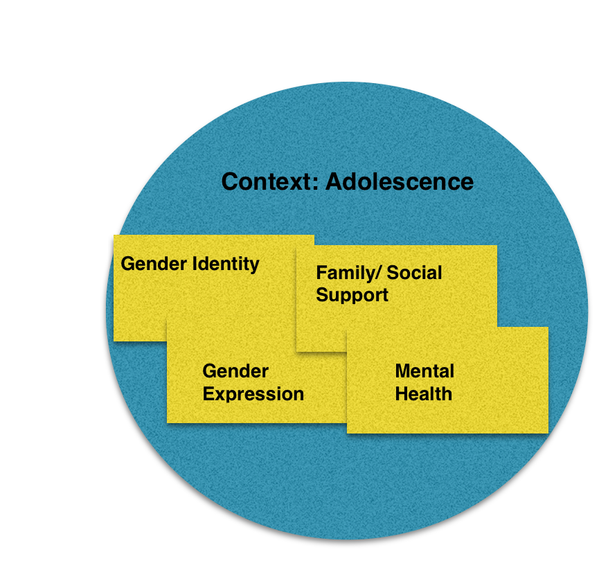 In this video, Dr. Margaret Nichols talks about the intersections of
				gender identity, gender experssion, family and social support, and mental
				health